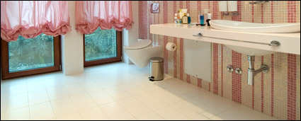 The fashion style pink bathroom picture material
