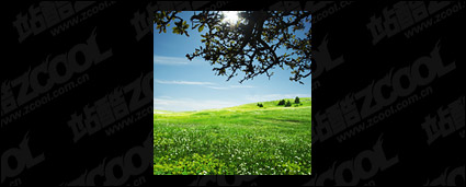 Grass sky picture material