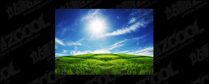 Grass sky picture material-3