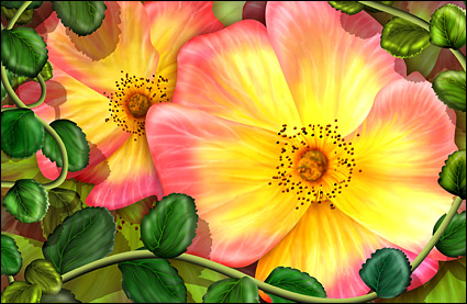 Flowers and leaves
