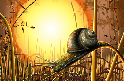 Snail