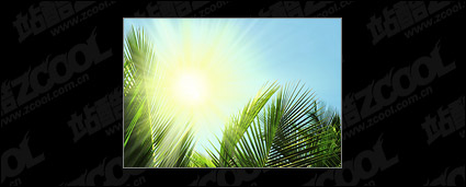 the sun picture material
