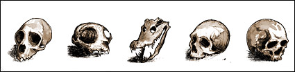 Hand-painted skull line transparent PNG icon
