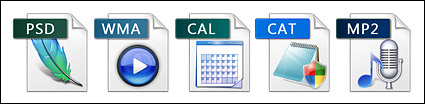 Computer software of various file formats icon png